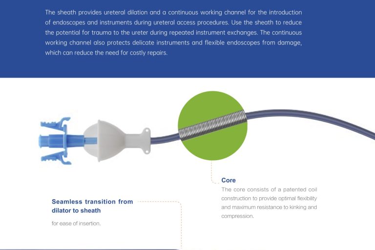 access-sheath-copy-2